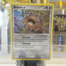 Bidoof - POP Series 6 (11/17) Nintendo Promo Non-Holo Common Pokemon Card MP on eBay