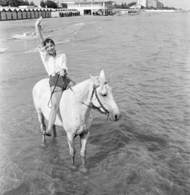 Venice Film Festival 1956 Italian actress Elsa Martinelli enjoys a- Old Photo