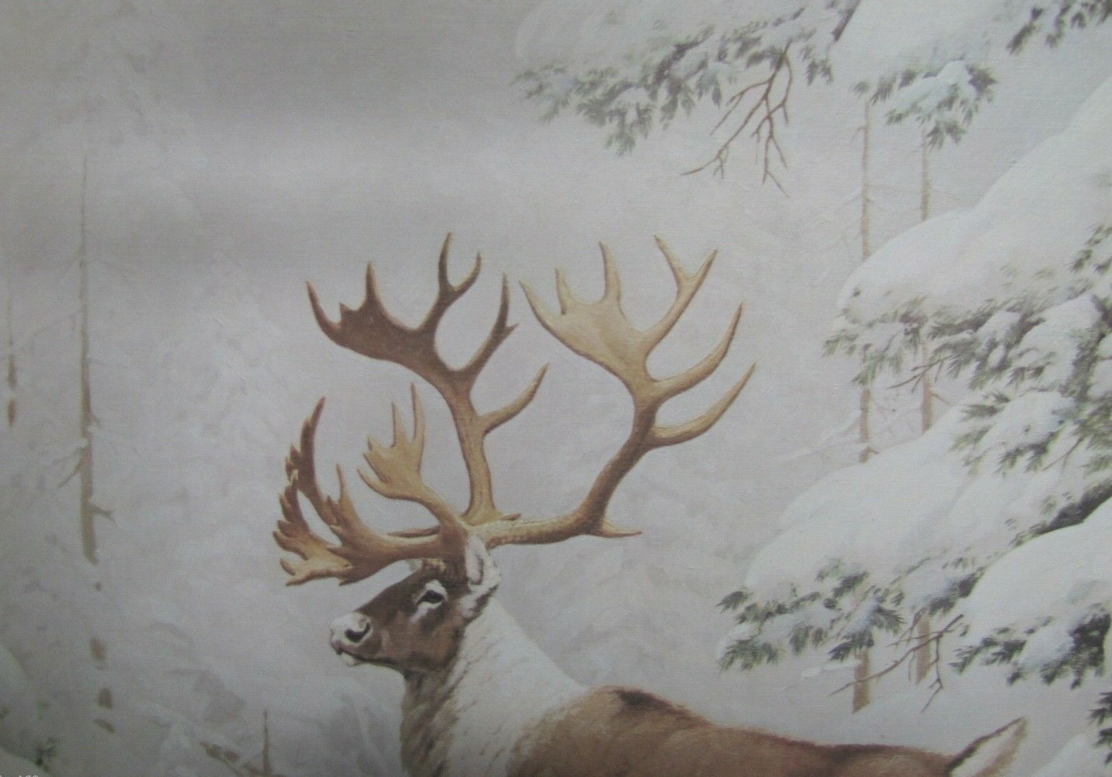 Picture 6 of 12