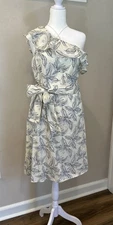 Banana Republic Factory One-Shoulder Ruffle Floral Dress Size L Resort Wear