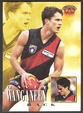 1996 AFL SELECT (SERIES 1) ALL AUSTRALIAN CARD - 228 Gavin WANGANEEN (ESSENDON)^