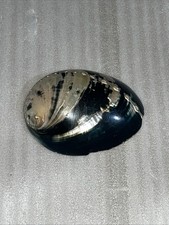Vintage Large Abalone Seashell Shell Belt Buckle Clip Black One Size