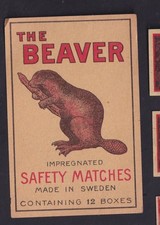 Ancienne  étiquette  paquet    allumettes Suède   BN224052 Beaver  Castor