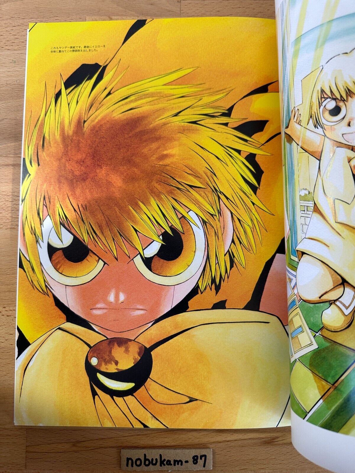 Zatch Bell! Drawing for Coloring‐in Book JAPAN ANIME - Japanimedia Store