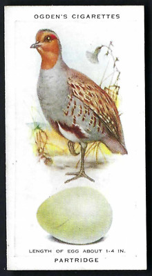 OGDENS - BRITISH BIRDS & THEIR EGGS - #26 REBHUHN