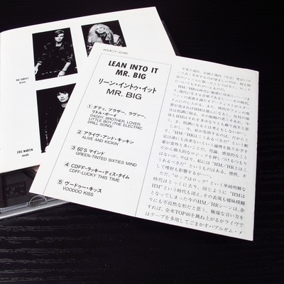 洋楽 MR. BIG LEAN INTO IT AMCY-236 Mr. Big – Lean Into It – CD (Album, Reissue), 1993 [r3093411