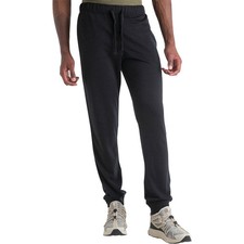 Icebreaker Merino Blend 200 Shifter II Pant- Men's
