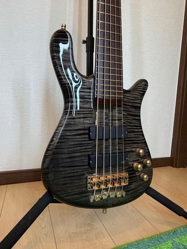  Warwick Streamer Stage1 5
