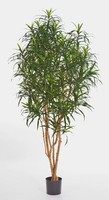 Artplants KüNstliche Dracaena Anita, 1570 BläTter, GrüN, 180Cm - Kunstbaum