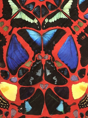 Damien Hirst x Alexander McQueen Limited Edition 'Psalm 113 Circular' Scarf - Picture 5 of 12