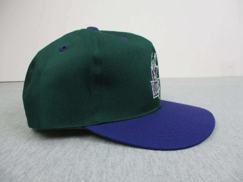DE COLECCIÓN Milwaukee Bucks Sombrero Snapback Niños Verde Púrpura Logo NBA Gorra 90 G Youngan Foto 3 de 4