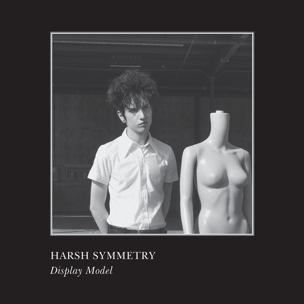 Harsh Symmetry Display Model (CD) Album