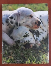 Photo Album Holds 96 Picture Pockets 10 x 15 cm, Dolmatians Dogs Cover