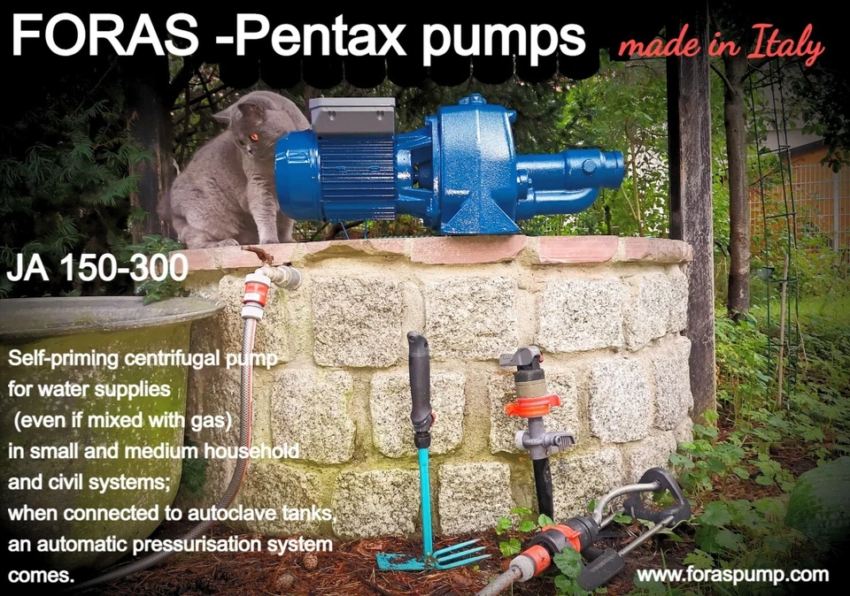 FORAS Pentax JA300 Selbstansaugende Kreiselpumpe 230V 140L/min 64m made in Italy - Bild 2 von 4