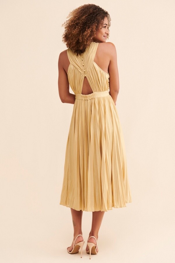 Verb Pallavi Singhee Pleated Halter Midi Dress Size 2 Petite MSRP: $248 |  eBay