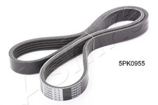 Keilriemen,mehrrippig 112-5PK955 ASHIKA für HONDA VOLVO HYUNDAI MITSUBISHI VW