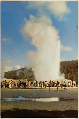 OLD FAITHFUL GEYSER YELLOWSTONE NATIONAL PARK WYOMING WY Postcard Unposted 1001
