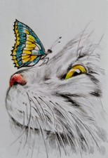 ACEO cat watercolor pencil by the author original 3,5"х2,5" 9x6cm not print