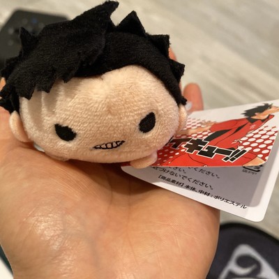 haikyuu tsum plush