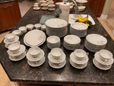 Antique/Vintage "Mystic Rose" by Mitterteich China Service from Germany