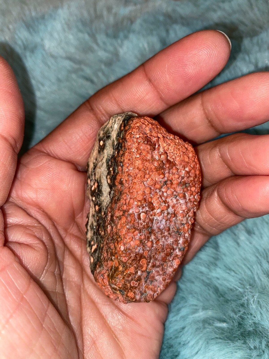 Rare Find Ocean Jasper with RED Orbs and Druzy oz (for