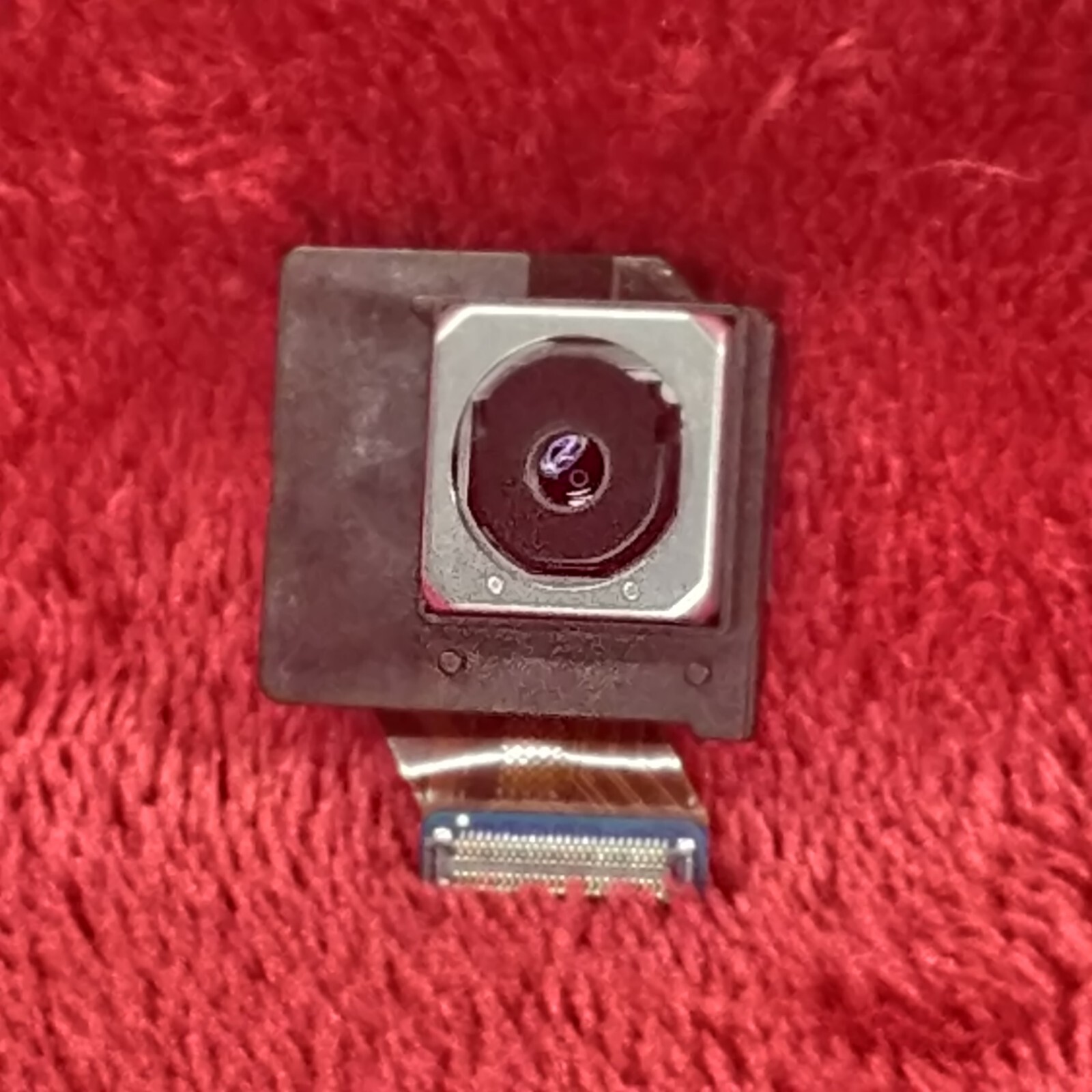 Rear Camera
