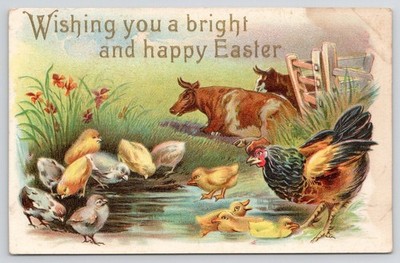 c1910s Bright Happy Easter Chicken Sees Baby Chick Swim Cows Postcard