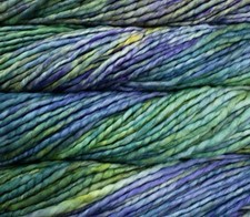 NWT Malabrigo Rasta 416 Indiecita Hand Dyed Super Bulky Merino Wool Skein Yarn