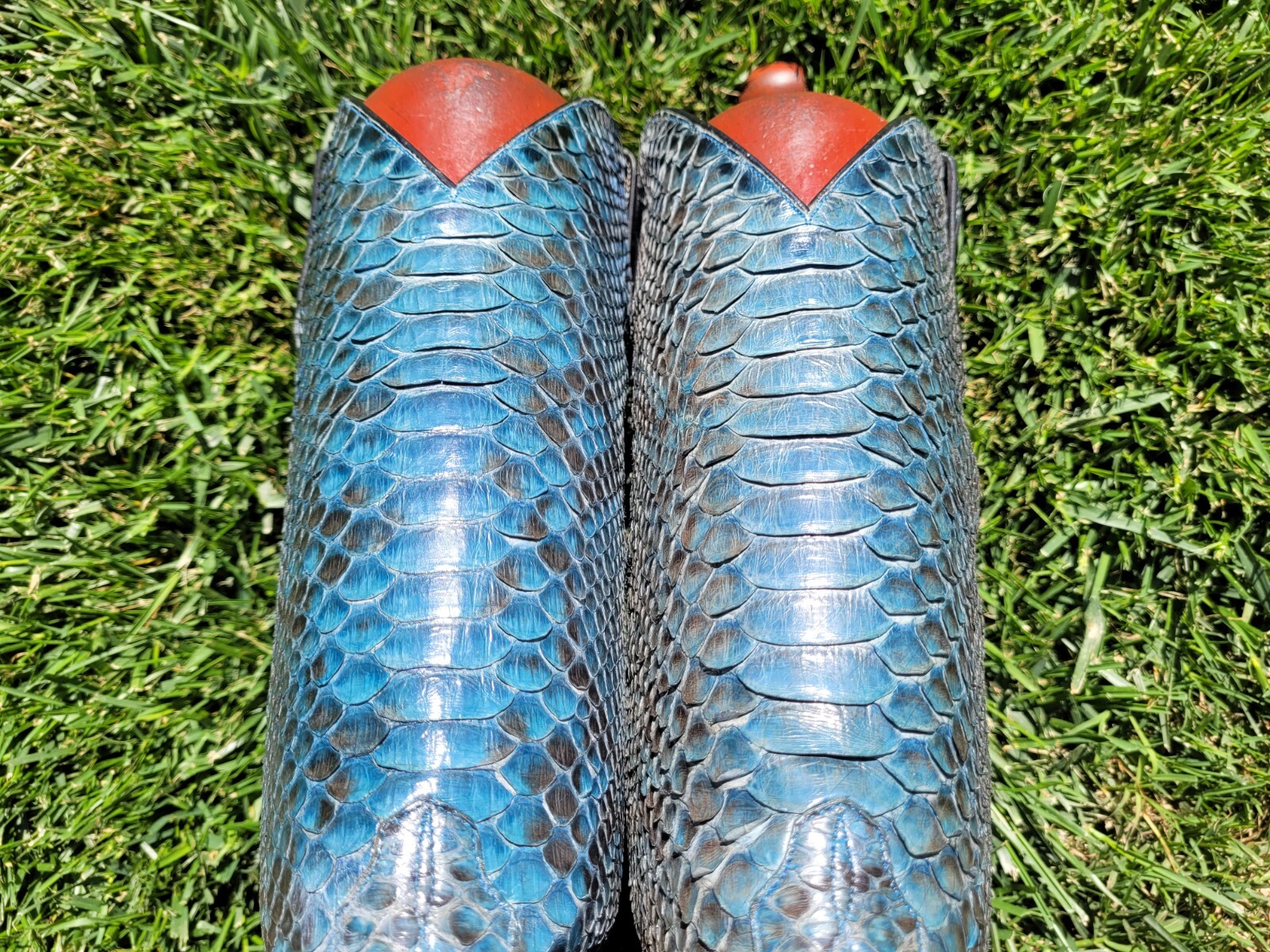 10.5 D ⭐ ANDERSON BEAN ⭐ BLUE ⭐ PYTHON ⭐ SNAKE ⭐ … - image 2