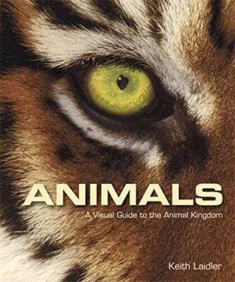 Animals : A Visual Guide To The Animal Kingdom - Paperback By NA - GOOD