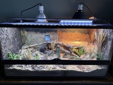 Exo Terra 90x45x45 Bioactive Arid Reptile Terrarium Set Up