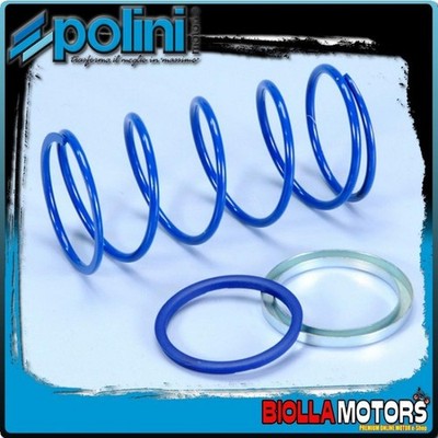243.094 FEDER KONTRAST VARIATOR POLINI MOTRON THUNDER EVO-SLIDER D.3.8