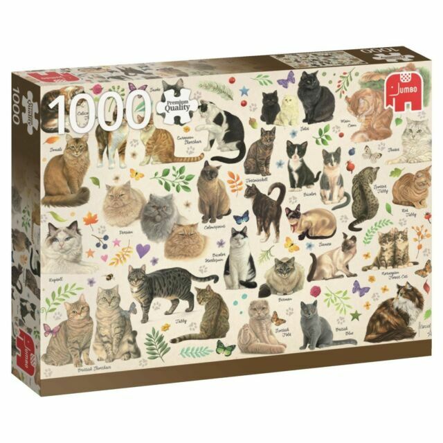 cat selfie puzzle