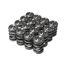Skunk2 Alpha Valve Springs + Titanium Retainer kit for Honda H22 VTEC