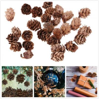 30 Sets Pine Cone Pineal Nuts Partydekorationen Verzierungen Vase Bowl Filler