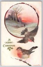 Robins with Holly, A Happy Christmas   Raphae...