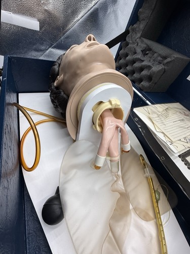 🔥NASCO Life/form Adult Airway Management Trainer with Stand & CASE🔥 - Picture 11 of 24