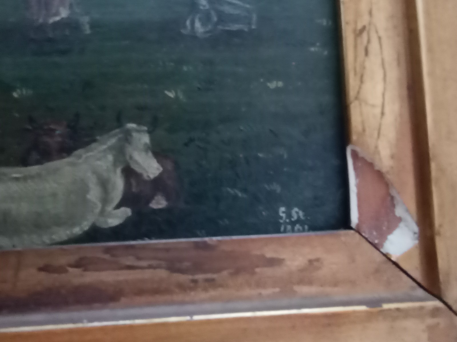 Bild 7 von 17