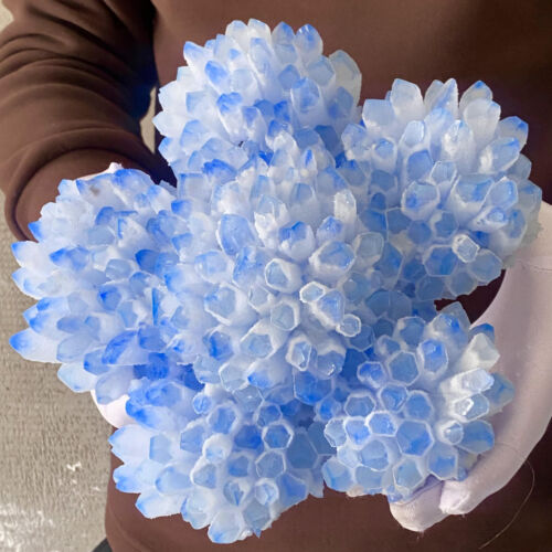 7,67 lb en grappe de cristal bleu naturel en forme de fleur spécimen minéral de guérison - Photo 1/12