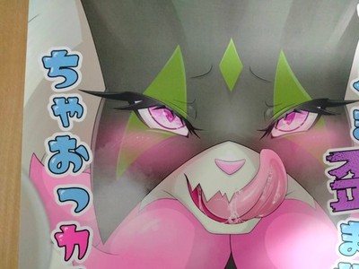 Pokemon Doujnshi Meowscarada X Master (B5 16pages) yugamase