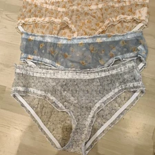 Ladies Three Pack Mesh Sheer Panties With cute Designs Size 14-16