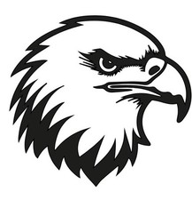New Eagle Decal Sticker Black or White Vinyl Handmade Window Car Decal 4  