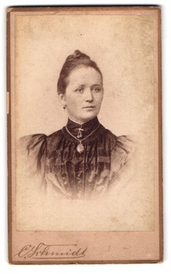 Fotografie C. H. Schmidt, Breslau, Paradiesstr. 30, Porträt einer Frau im elega 