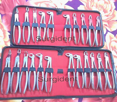 Tooth Loosen Extracting Extraction Forceps Orthodontic Dental Pliers Upper Lower