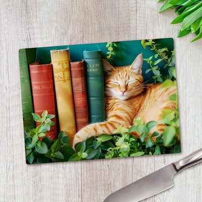 Katze schläft neben Büchern Glas Schneidebrett groß Küche Arbeitsplatte Sparer