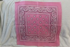 BANDANA PINK PAISLEY SET OF 3