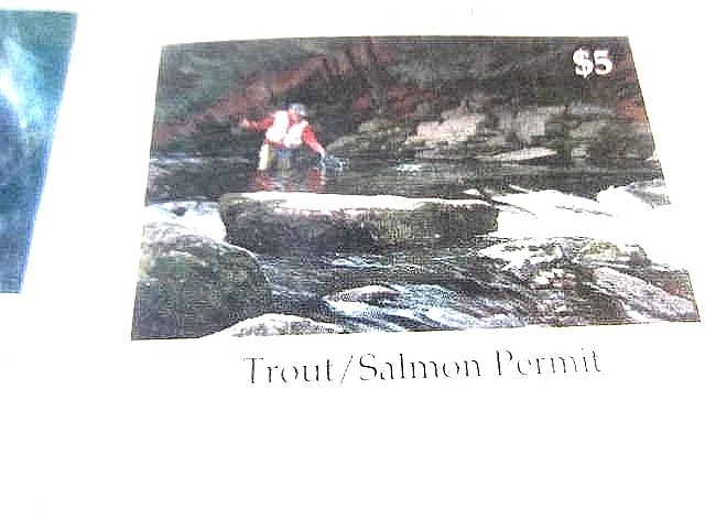 Pennsylvania Trout Stamps 1991-1999 Unissued Mint Condition - Image 4 of 4