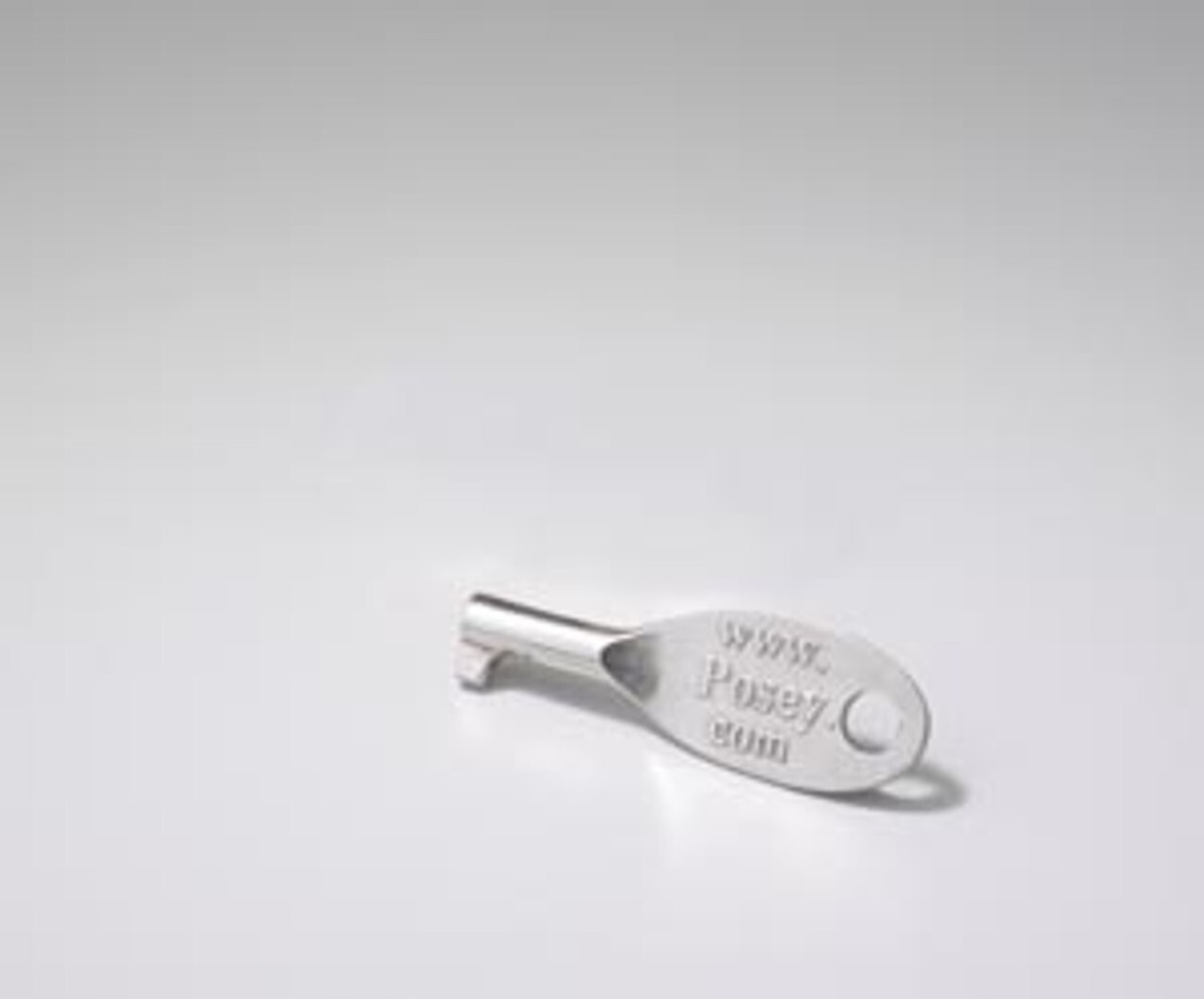 きぃぽて Posey 1074 Replacement Silver Key for Posey Key-Lock Cuffs and