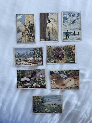 shoe polish Erdal Kwak advertising cards Mountaineering cobra (8)