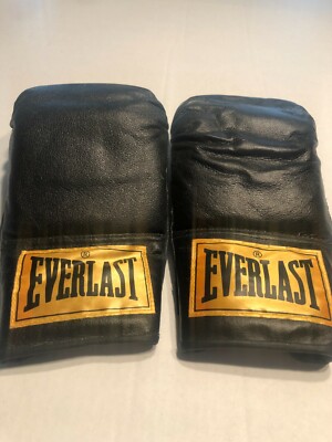 Everlast Boxing Gloves